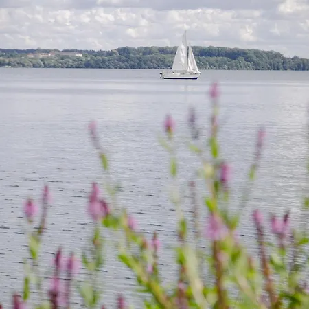 Hotel Biohotel Amadeus 4*